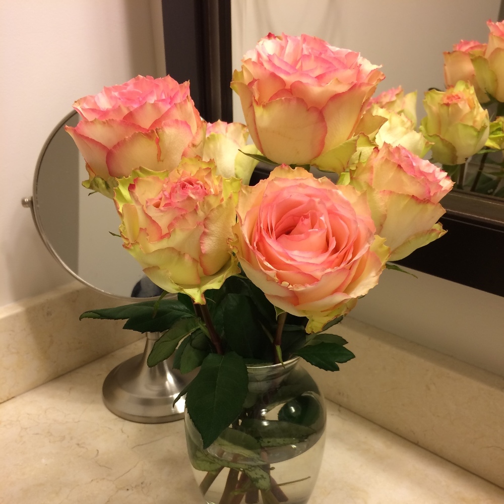 Meet your Posher, Elle